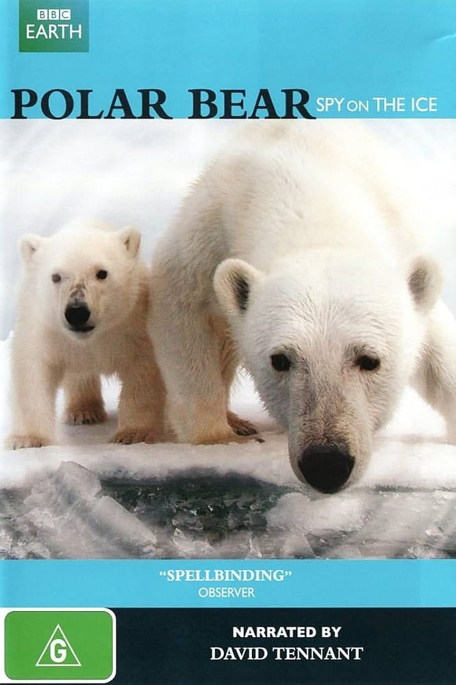 Постер Polar Bear - Spy on the Ice